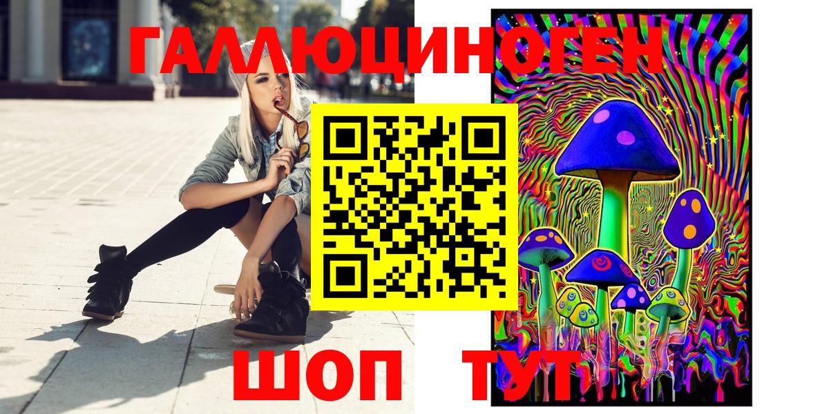 купить  сайты  Галлюциногенные грибы Psilocybe  Вход с VPN  Иркутск 
